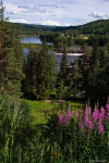 Ångermanälven