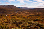 Storulvån